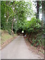 Road between Hendrerwydd and Rhiwbebyll