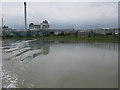 Pfizer buildings on spit of land known as Bloody Point