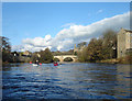 NZ0416 : River Tees below the County bridge by Andy Waddington