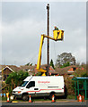Installing a new phone pole in Stockton village centre