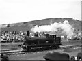 Locomotive Parade, Rainhill 1980: Webb 