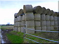 Bales near Rhynie