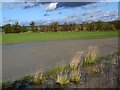 Flooded field near Bishopstone