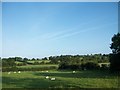 The countryside east of Mayobridge