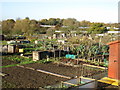 Allotments at Twyford