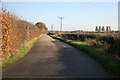 Country road nr Majors farm