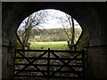 Footpath under bridge