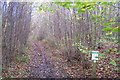 North Downs Way in Howfield Wood