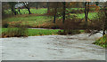 The River Bann, Banbridge