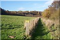 Footpath towards Rough Common