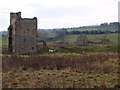 Remains of Ravensworth Castle