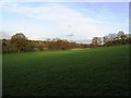 Pasture land on Abinger Hill