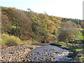 The River East Allen below Blackbank