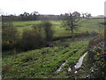 Across the fields to Washbeerhayes Farm