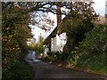 Thatched house on a quiet lane