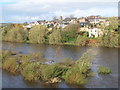 NY9864 : Corbridge and the River Tyne (2) by Mike Quinn