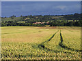 Farmland, Stanton St John