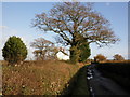 Cottage, near Saundercroft Farm