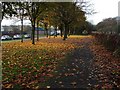 Footpath alongside Winchester Avenue