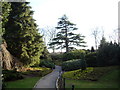 A path in Hazlehead Park