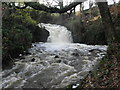 Waterfall  on the Ballybay River at Milltown