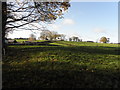 Townland of Ballyloughan Milltown