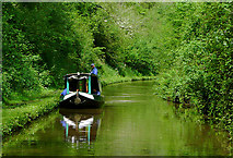 SJ6931 : Shropshire Union Canal at Woodseaves Cutting by Roger  D Kidd