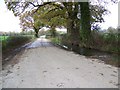 Track to Pilford Farm