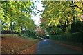 Autumn colour in Tanners Lane, Burford