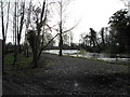 The weir at Donaghcloney