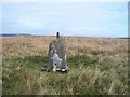 SS9194 : Damaged trigpoint on Werfa moorland by John Light