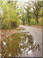 East Stoke: Holme Lane