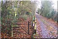 Kissing Gate near Fir House