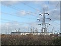 Electricity pylon at Lee Moor