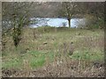 Large pond in the flood plain of the River Aire