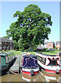 Pontoon moorings at Market Drayton, Shropshire