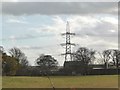 Pylon behind Willow Grove Farm