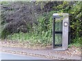 Telephone box, Methley Junction