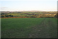 Farmland near Ladock