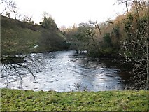 NZ0120 : Confluence of the River Balder and the River Tees by Philip Barker