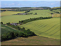 Farmland, West Meon