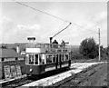 Tram at Colyton