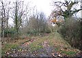 Unmarked track leading west from Church Hill