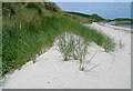SV9216 : Embryo sand dunes, Great Par Beach, St Martin's, Scilly by John Rostron