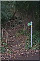 Steps on Maypole Lane