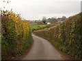 Lane to Halse