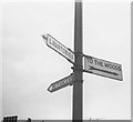 NZ0416 : Signpost in Barnard Castle by John Leeming
