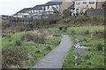 Boardwalk to Spring Side Rise