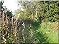 Railway trackbed near Slamannan