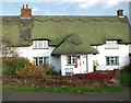 Thatched cottage on the village green (detail)